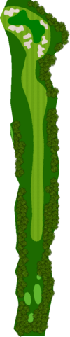 Large